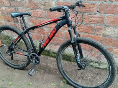 bicicleta Firebird R29 18"