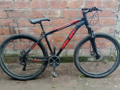 bicicleta Firebird R29 18"