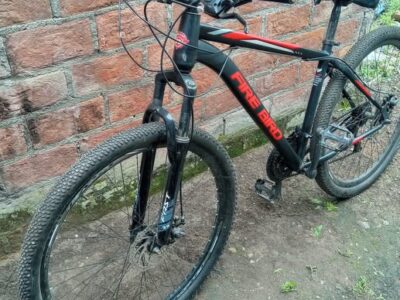 bicicleta Firebird R29 18"