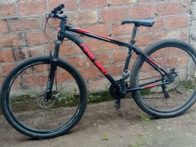 bicicleta Firebird R29 18"