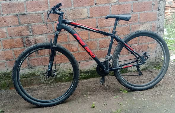 bicicleta Firebird R29 18"