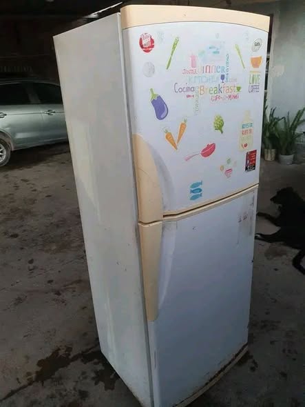Heladera Gafa