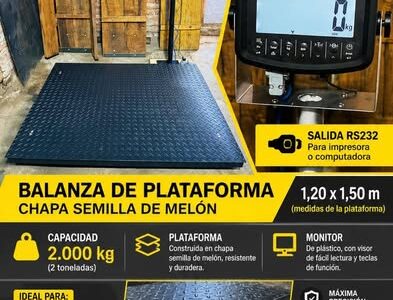 Plataforma para pesaje industrial